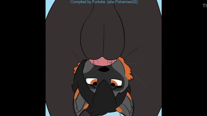 Gay animated furry porn collection: don't worry be fappy
